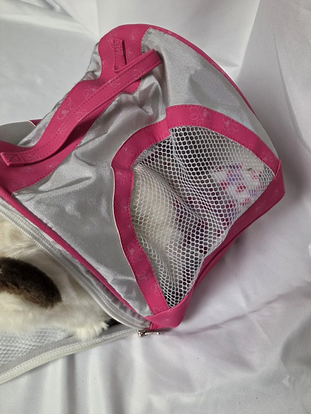 American Girl 5‎ inch Siamese Cat Poseable Marisol Himalayan Rascal Kitty